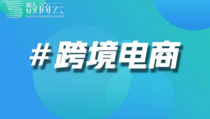 国外跨境电商平台搭建｜国外跨境电商平台建设方案｜数商云